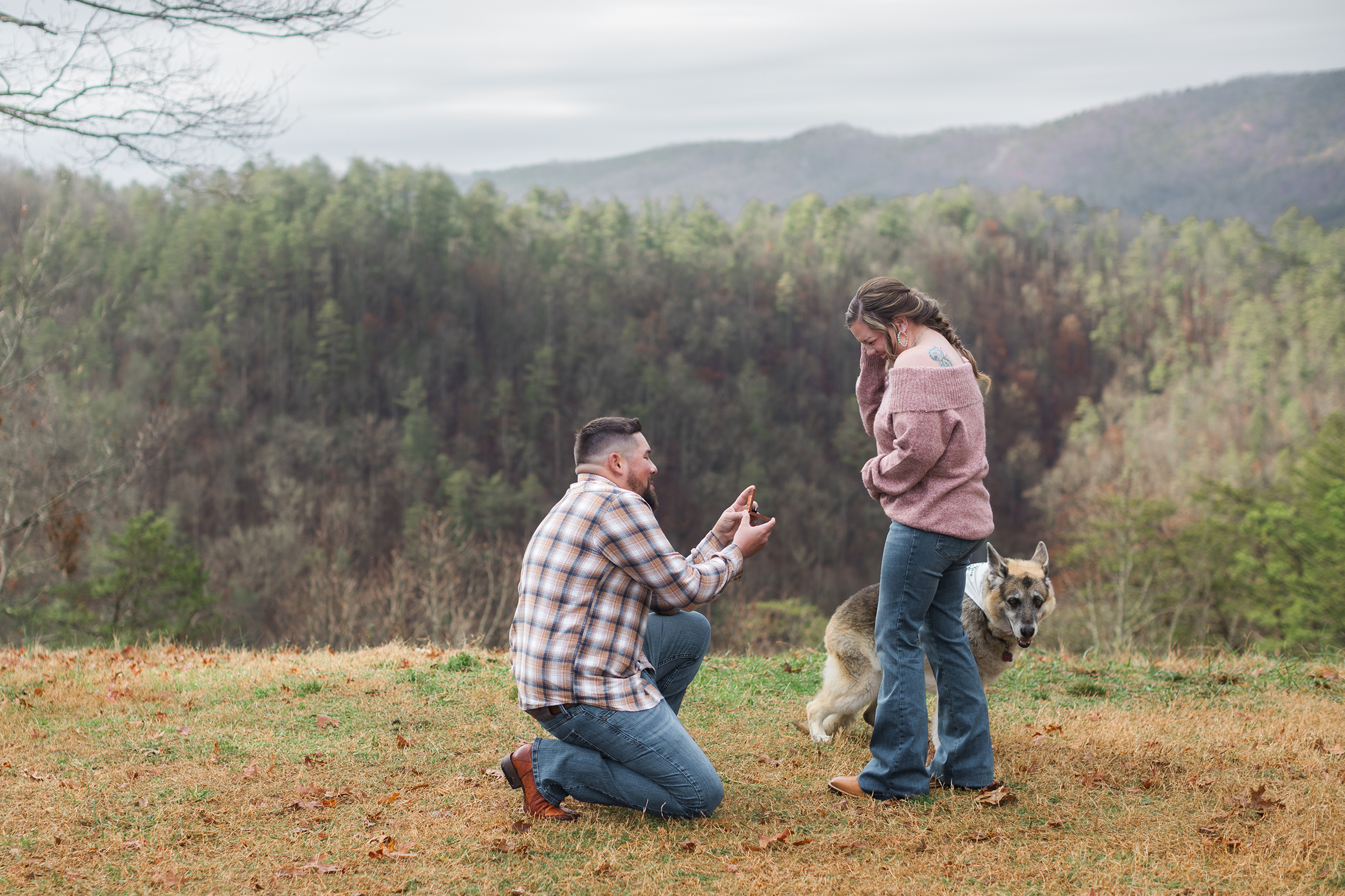 Foothills Parkway + Townsend Wye Proposal